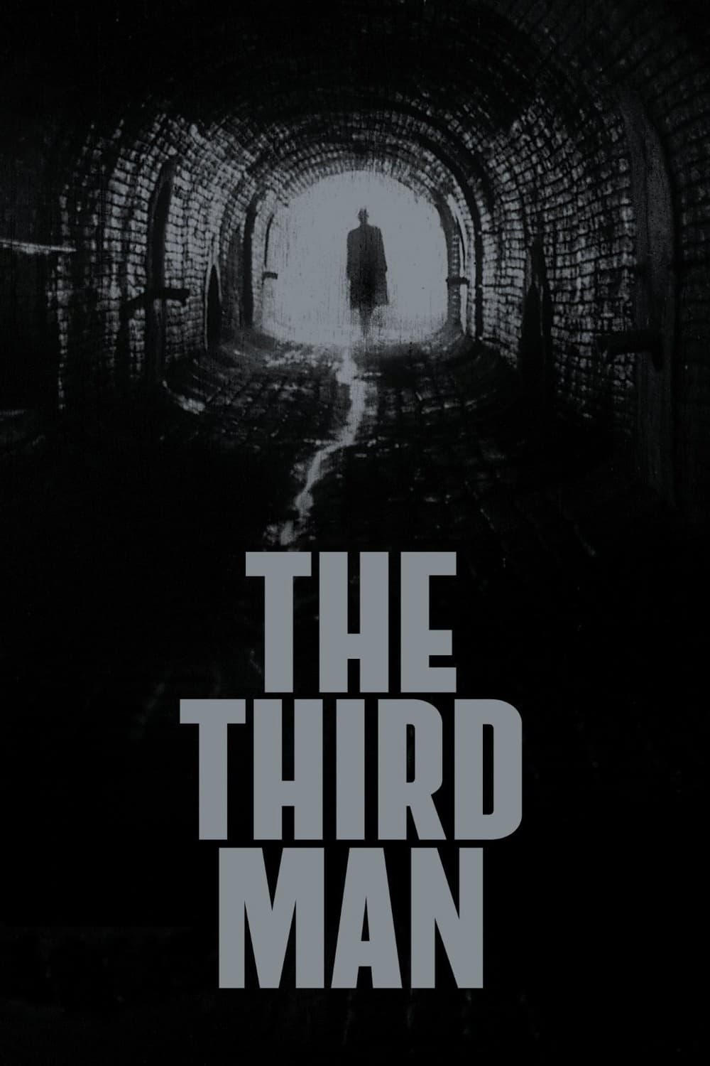 The Third Man (1949) [1907] (A1762898842) [[Movies]] --Plex--